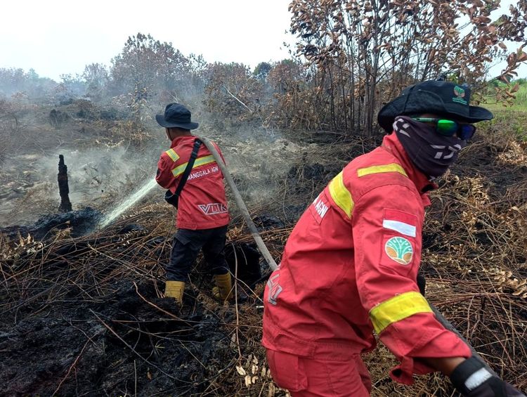 Kalsel Nihil Hotspot Karhutla, Pengendalian Kalbar dan Kalteng Diperkuat