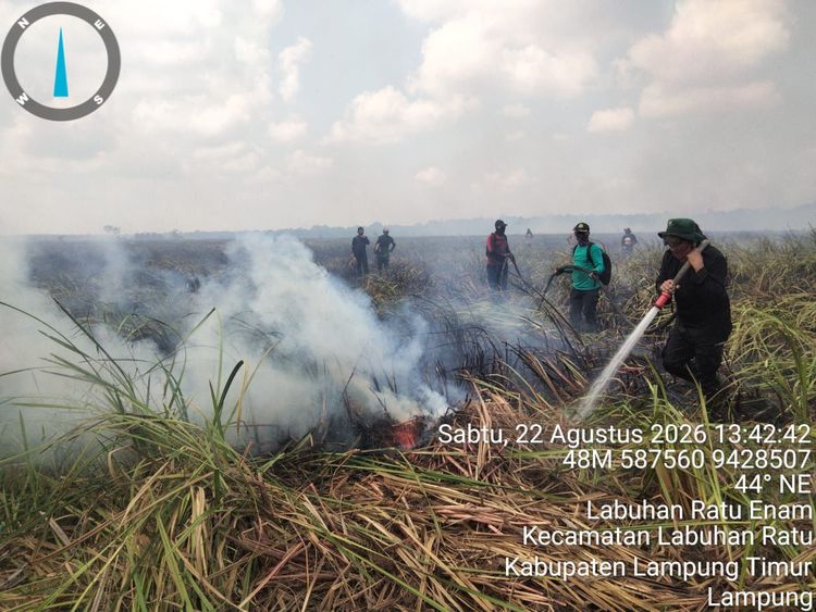 Kebakaran Hutan Terjadi di Wilayah Resort Kuala Penet, TN Way Kambas Bersama Para Pihak Lakukan Pemadaman