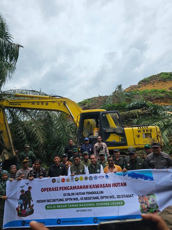 Kemenhut Bersama Satgas PKH Musnahkan Sekitar 360 ha Pohon Kelapa Sawit di TN Gunung Leuser: Pulihkan Fungsi Konservasi