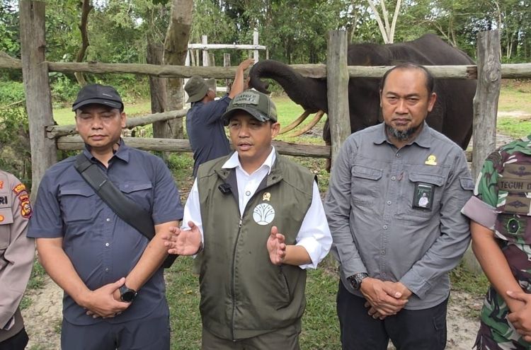 Menhut Sampaikan Terima Kasih ke Netizen atas Dukungan Restorasi #SaveTessoNilo