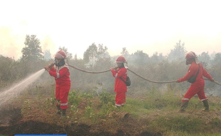 Hotspot di Beberapa Provinsi Menurun, Kemenhut Tetap Siaga Penuh