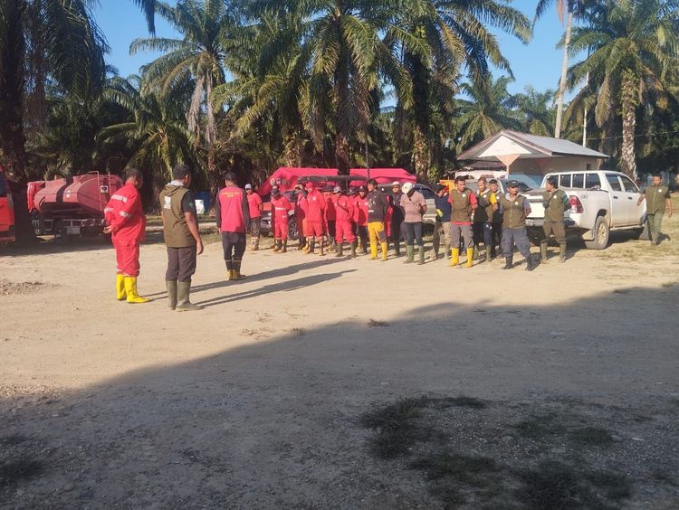 Update Hari ke-48 Penanganan Pasca Bencana: Kemenhut Fokus Pembersihan dan Pemanfaatan Kayu di Aceh dan Sumut