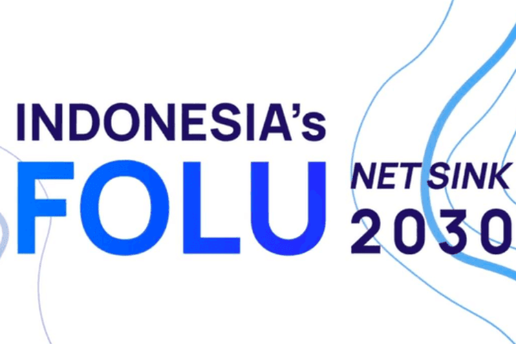Kementerian Kehutanan Tegaskan Anggaran Pengelola FOLU Net Sink 2030 Berasal Dari Non APBN