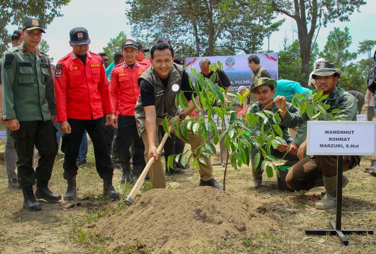 Bersama Menanam, Pulihkan Hutan di Taman Nasional Tesso Nilo
