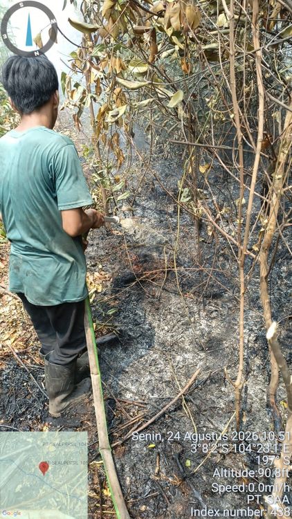 Kemenhut Perkuat Deteksi Dini dan Respons Cepat Pengendalian Karhutla di Sumatera Selatan