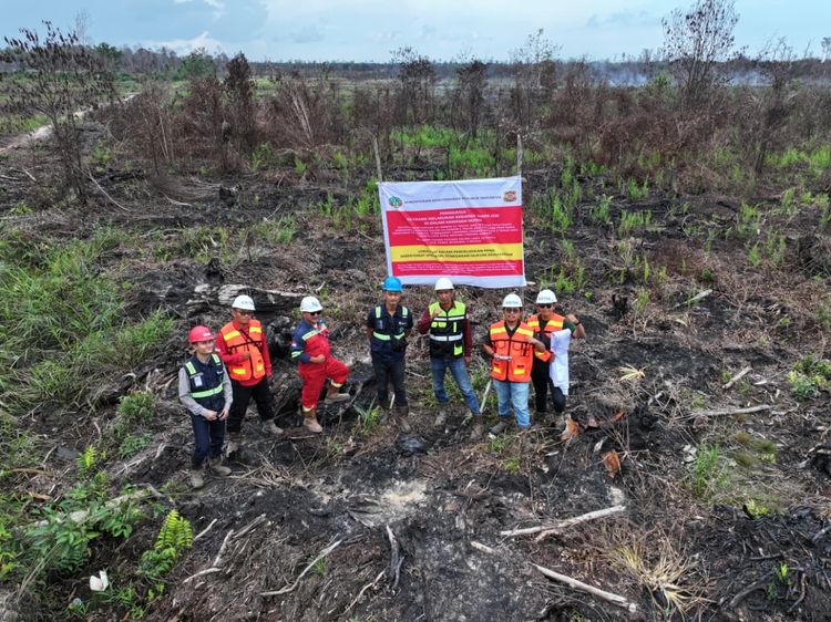 Kemenhut Bongkar Motif di Balik Karhutla, Dari Jual Beli Kawasan Hingga Perambahan, Korporasi dan Individu Jadi Tersangka