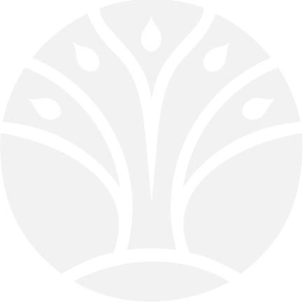 Ministry of Forestry Extends Deepest Condolences Following the Passing of Brazilian Tourist on Mount Rinjani