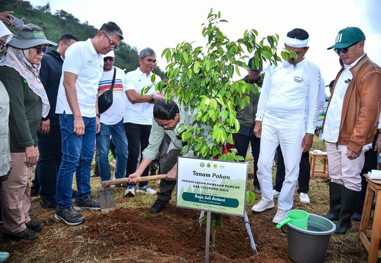 Membangun Harmoni dengan Alam: Kementerian Kehutanan Bersama Berbagai Pihak Melaksanakan Penanaman Pohon di Puncak Bogor