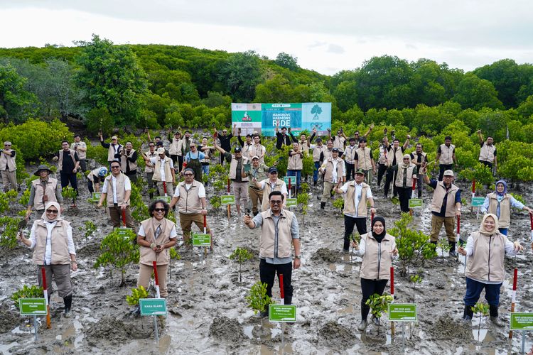 Mangrove Festival 2025: Indonesia Perkuat Konsolidasi Nasional Rehabilitasi Ekosistem Mangrove