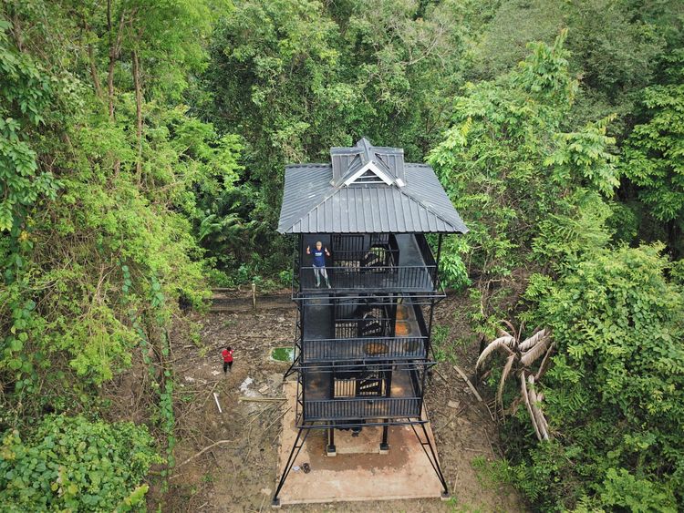 JRSCA, Habitat Asli Badak Jawa: Translokasi di dalam kawasan Taman Nasional Ujung Kulon