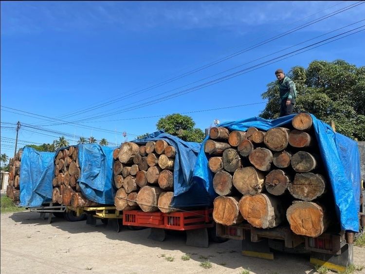 Kedepankan Sense of Crisis Saat Bencana, Kemenhut Perluas Kanal Aduan dan Perketat Pengawasan Peredaran Kayu di Sumatera