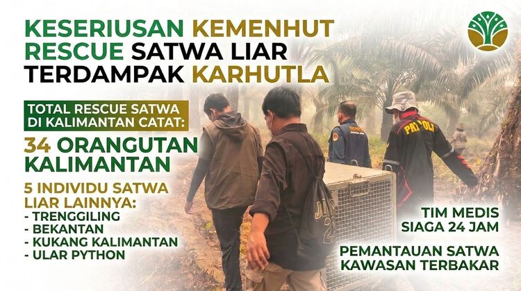 Upaya Serius Kemenhut Rescue Satwa Liar Terdampak Karhutla
