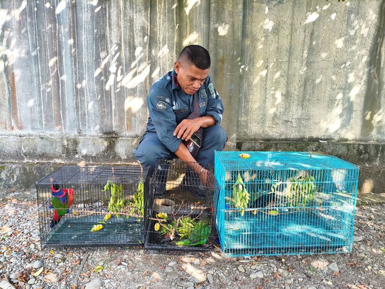 Kemenhut Ungkap Perdagangan Satwa Liar Dilindungi Melalui Media Sosial, Tiga Ditetapkan Tersangka
