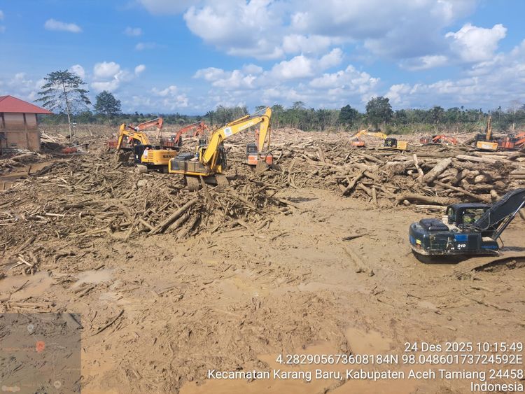Kemenhut Percepat Pembersihan Kayu Limbah Bencana di Aceh, Sumatera Utara, dan Sumatera Barat