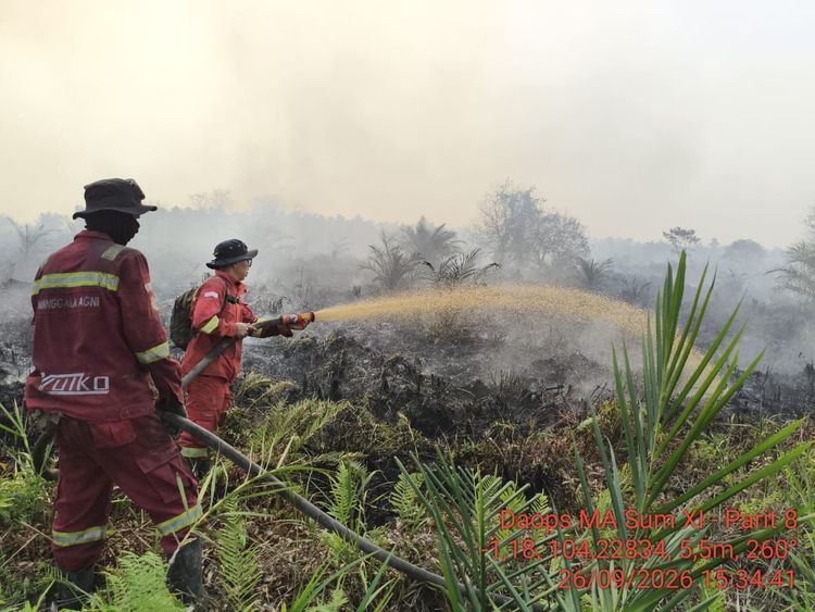 Hotspot Nasional 331 Titik, Kemenhut Perkuat Pengendalian Karhutla di Kalsel dan Sumsel