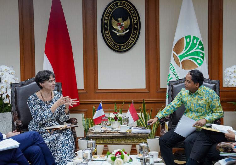 Bertemu CIRAD, Menhut Perkuat Kerja Sama Kehutanan Berbasis Sains
