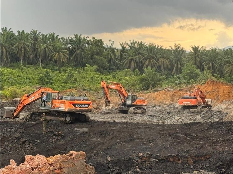 Gakkum Kehutanan Tindak Tegas Tambang Batubara Dalam Kawasan Cagar Alam Teluk Adang, Kalimantan Timur