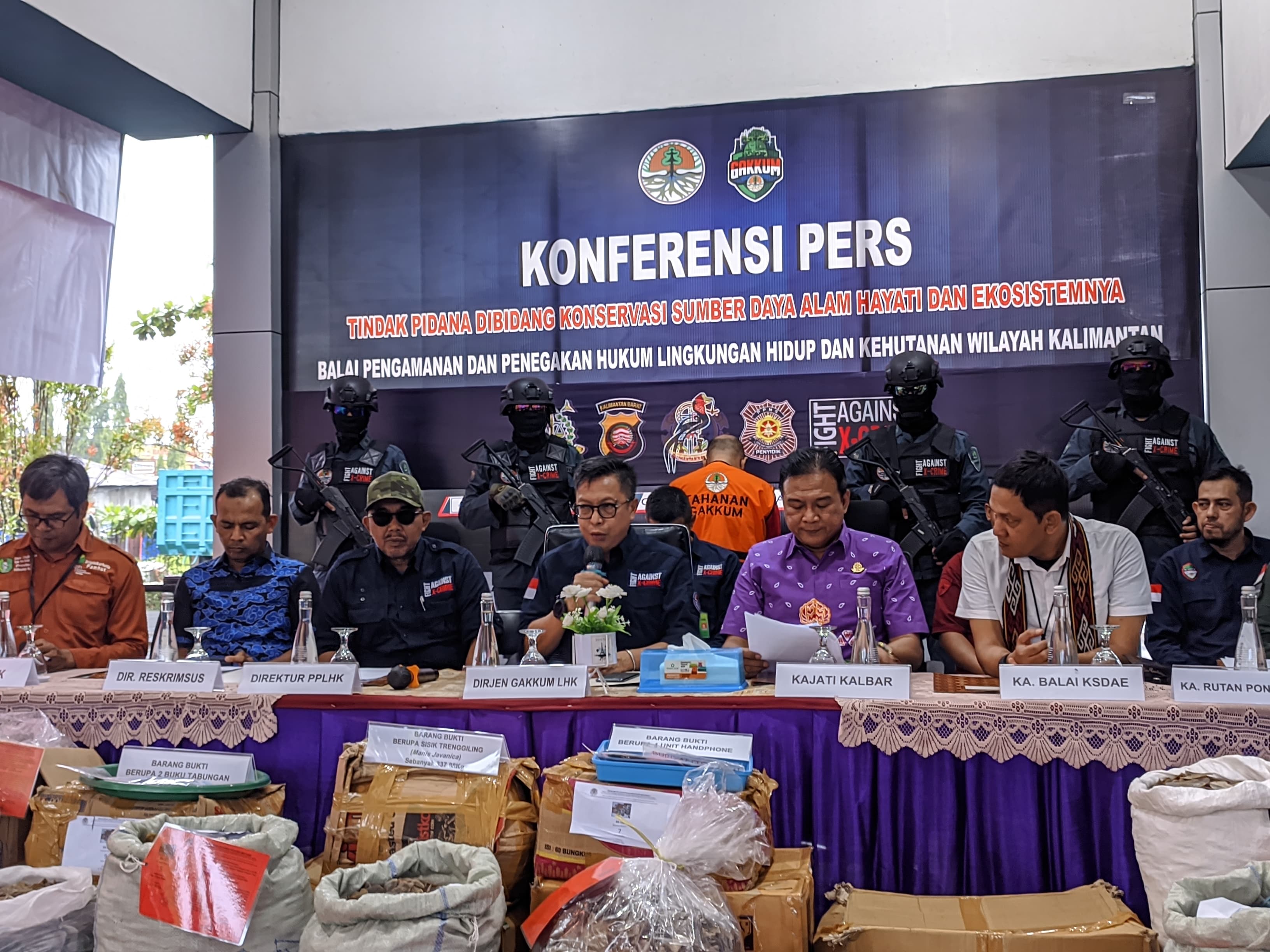 KLHK Dan Polda Kalbar Bongkar Jaringan Penyelundup Sisik Trenggiling