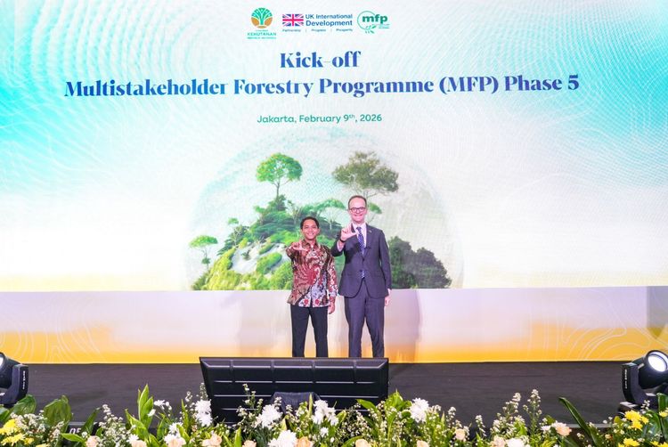 Indonesia-Inggris Luncurkan MFP Fase 5, Perkuat Tata Kelola Hutan dan Kepercayaan Global