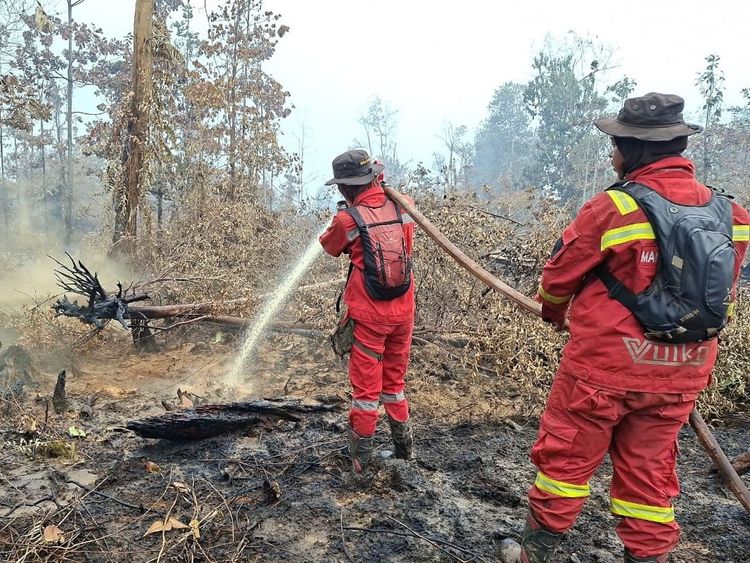 Hotspot Nasional Turun Signifikan, Pengendalian Sumsel-Kalteng Diperkuat