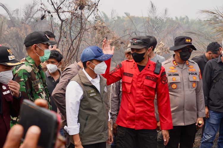 Menhut Tinjau Karhutla di Tanjung Jabung Timur, Perkuat Pengendalian Terpadu di Jambi