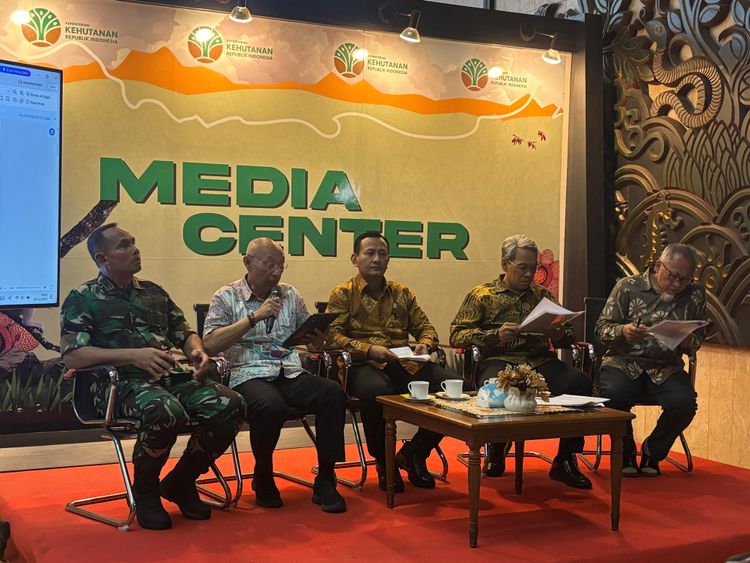 Kementerian Kehutanan Sampaikan Penjelasan Resmi Terkait Musofa, Badak Jawa Hasil Translokasi, Wafat Akibat Penyakit Kronis Bawaan