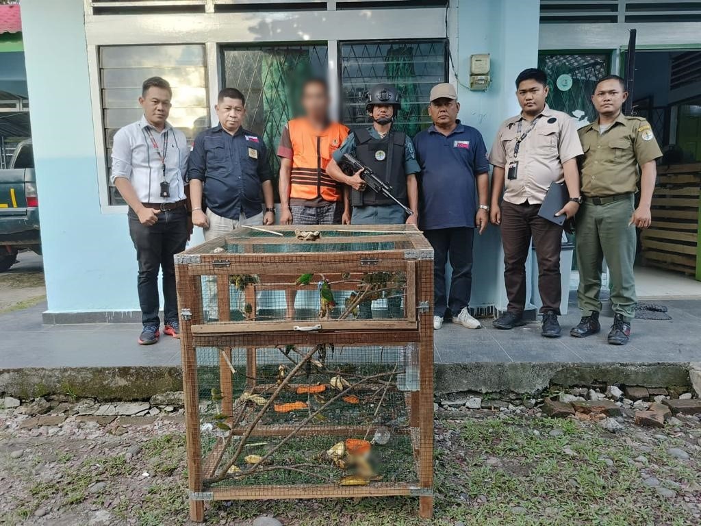 Gakkum KLHK Tangkap Penjual Burung Dilindungi Di Sumatera Selatan