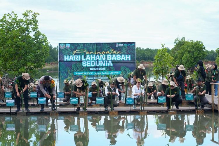 Peringati Hari Lahan Basah Sedunia 2026, Menhut Tekankan Peran Mangrove bagi Ekologi dan Ekonomi Pesisir