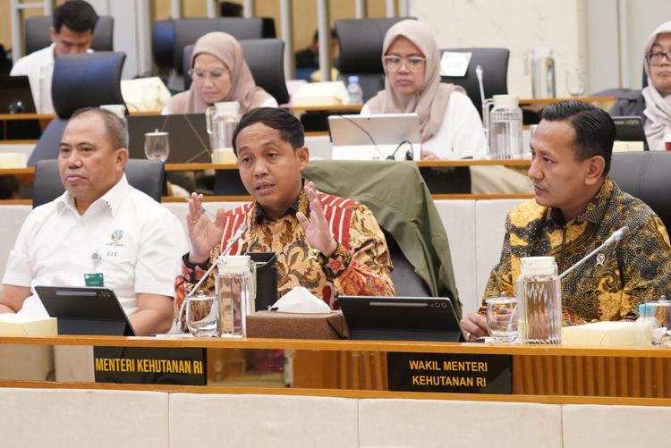 Menteri Kehutanan Paparkan Capaian 2025 dalam Raker Bersama Komisi IV DPR RI