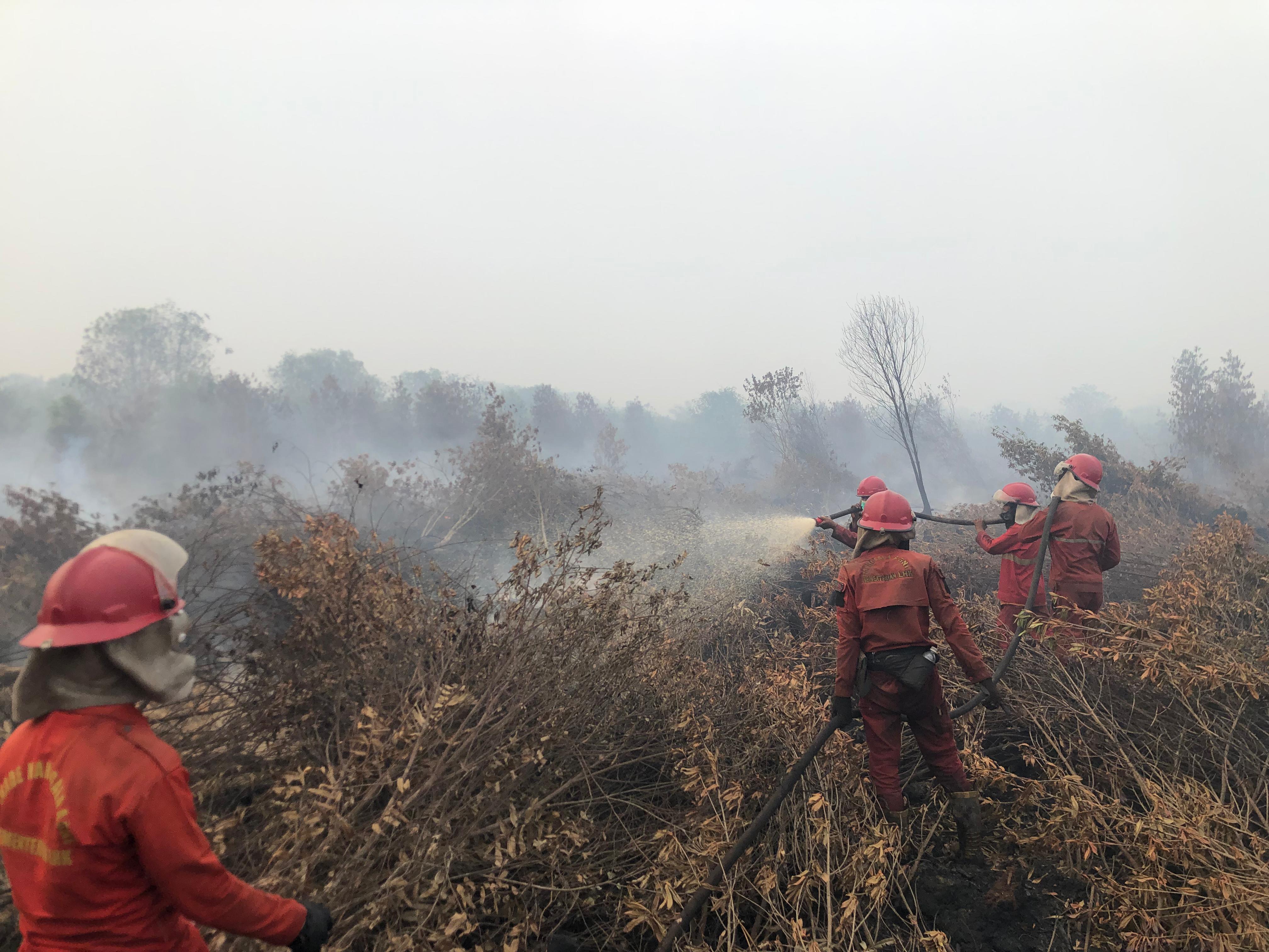 Manggala Agni Terus Berjuang Padamkan Empat Titik Karhutla Di Sumsel