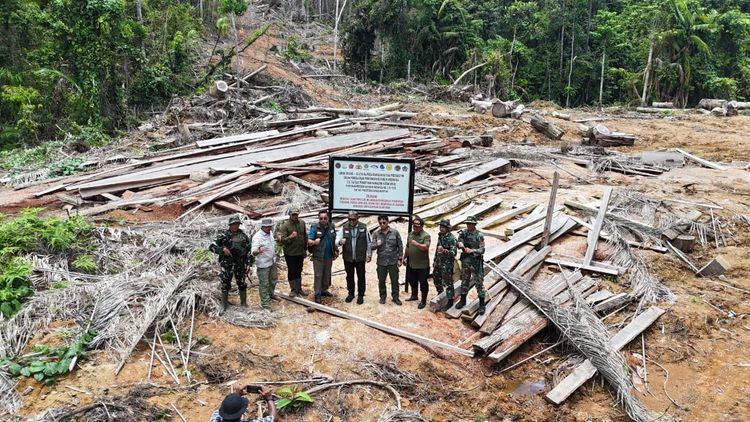 Kementerian Kehutanan: Moratorium Tata Usaha Kayu Untuk PHAT, Hentikan Modus Pencucian Kayu Ilegal Kejahatan Illegal Logging