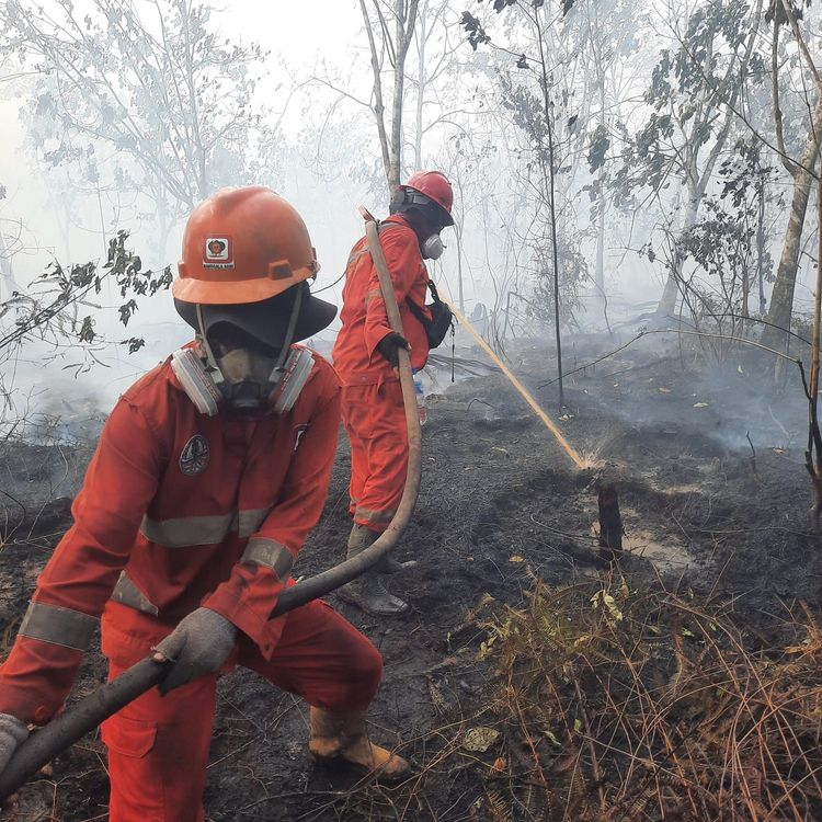 Hotspot Nasional Turun 56 Persen, Pengendalian Karhutla Tetap Diperkuat