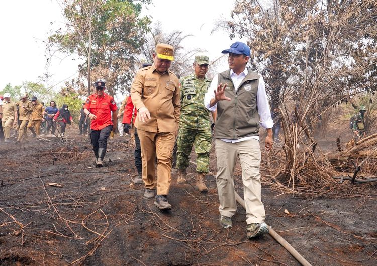 Menhut Pimpin Rakor Karhutla Kalbar, Perkuat Operasi Darat-Udara dan Kolaborasi Lintas Pihak