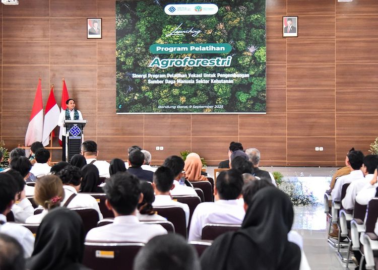 Pelatihan Agroforestri dengan Kemenaker, Menhut: Hutan Lestari, Tenaga Kerja Bersemi