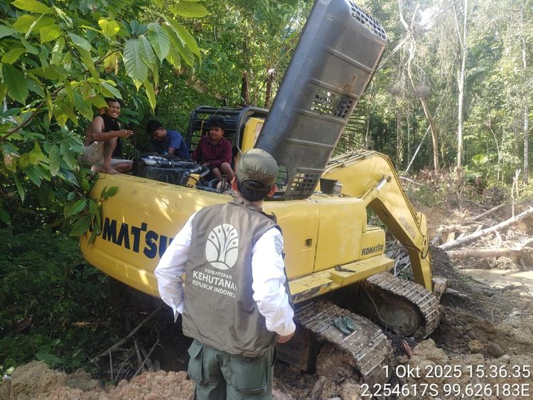 Kemenhut Kawal Eksekusi Putusan Pembalakan Liar Mentawai, PT BRN Dihukum Bayar Ganti Kerugian Ekologi RP78,1 Miliar & Direktur Utama Dipidana