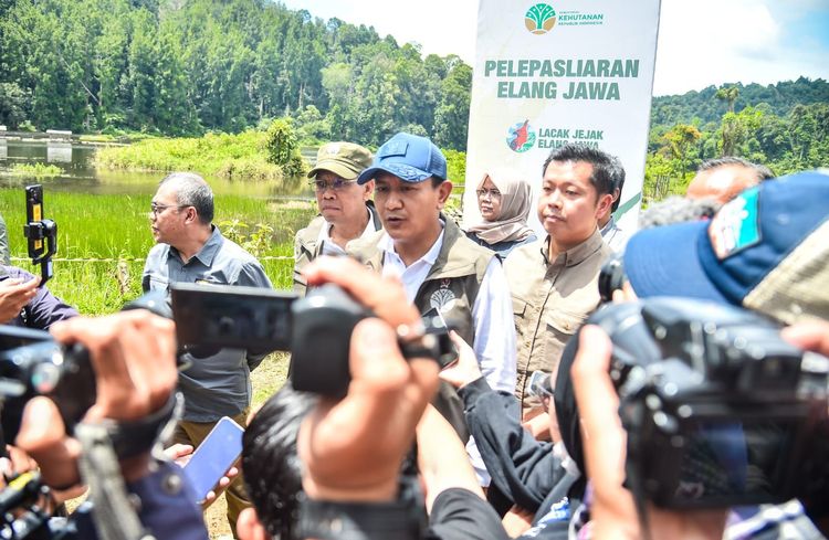 Raja Dirgantara Kembali ke Langit Jawa: Pelepasliaran Elang Jawa di Taman Nasional Gunung Gede Pangrango