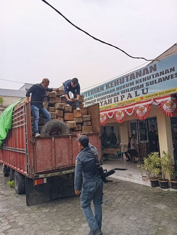 Komitmen Gakkum Kehutanan: Tersangka Kasus Pengangkutan Kayu Ilegal di Jalur Trans Palu – Tolitoli Siap Disidangkan