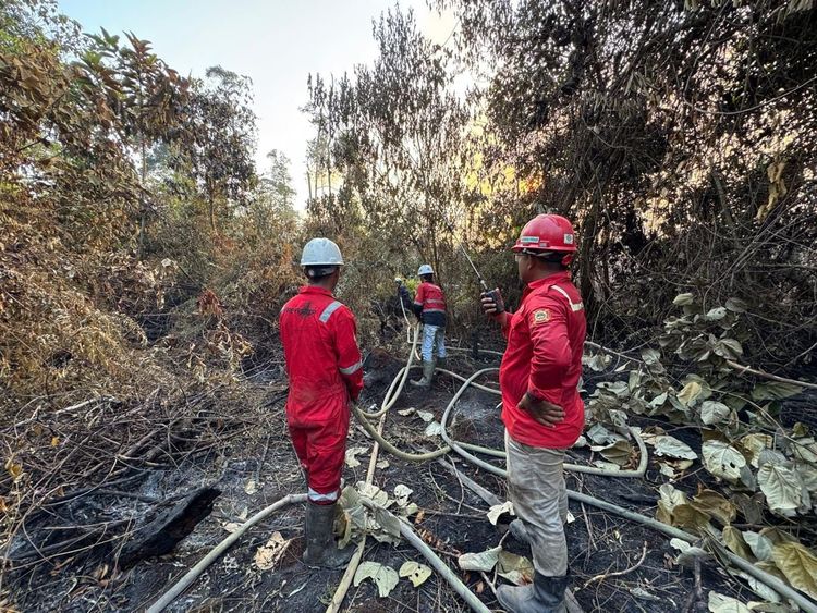 Kementerian Kehutanan Tegaskan PBPH Wajib Lakukan Langkah Ekstra dalam Pengendalian Karhutla di Arealnya