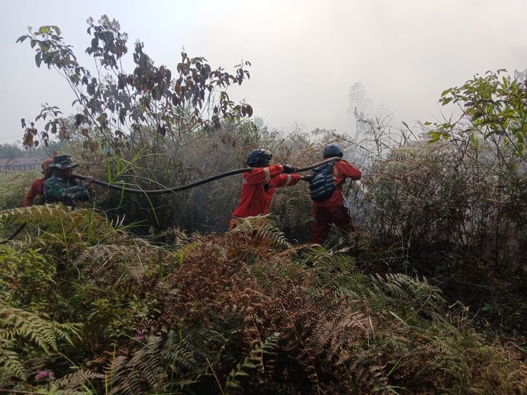 12.880 Personel Gabungan Tangani Karhutla di Kalimantan, Kemenhut Perkuat Operasi Manggala Agni