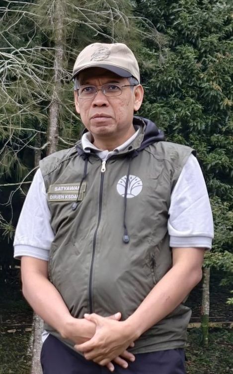 Kementerian Kehutanan Tegaskan Komitmen Perlindungan Harimau Sumatera dan Penindakan Tegas terhadap Pelaku Perburuan