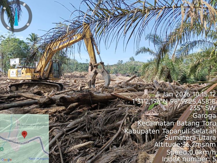 Kemenhut Intensifkan Penanganan Kayu Hanyutan Pascabencana di Aceh, Sumbar, dan Sumut