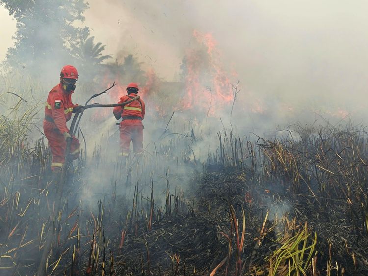 Kemenhut Perkuat Operasi Karhutla di Kalteng dan Kalbar, 61 Armada Udara Terus Disiagakan
