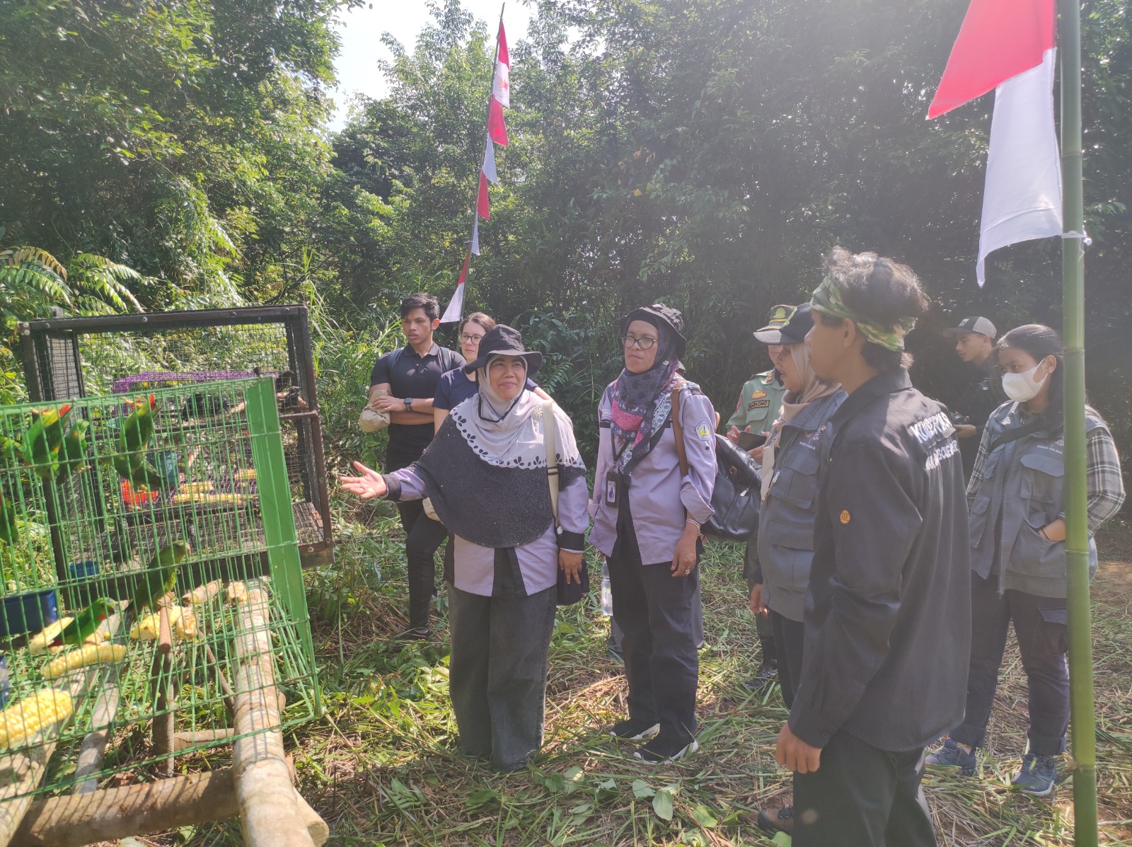 Peringati Hari Konservasi Alam Nasional 2023, BKSDA Kalimantan Barat Dan Mitra Kerja Lepasliarkan Puluhan Satwa Liar