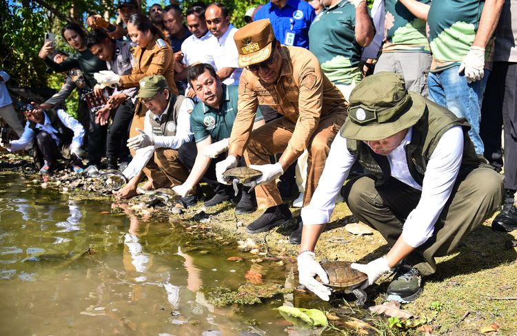 Menhut Raja Antoni Pimpin Pelepasliaran 20 Kura-Kura Rote, Satwa Endemik Terlangka di Dunia