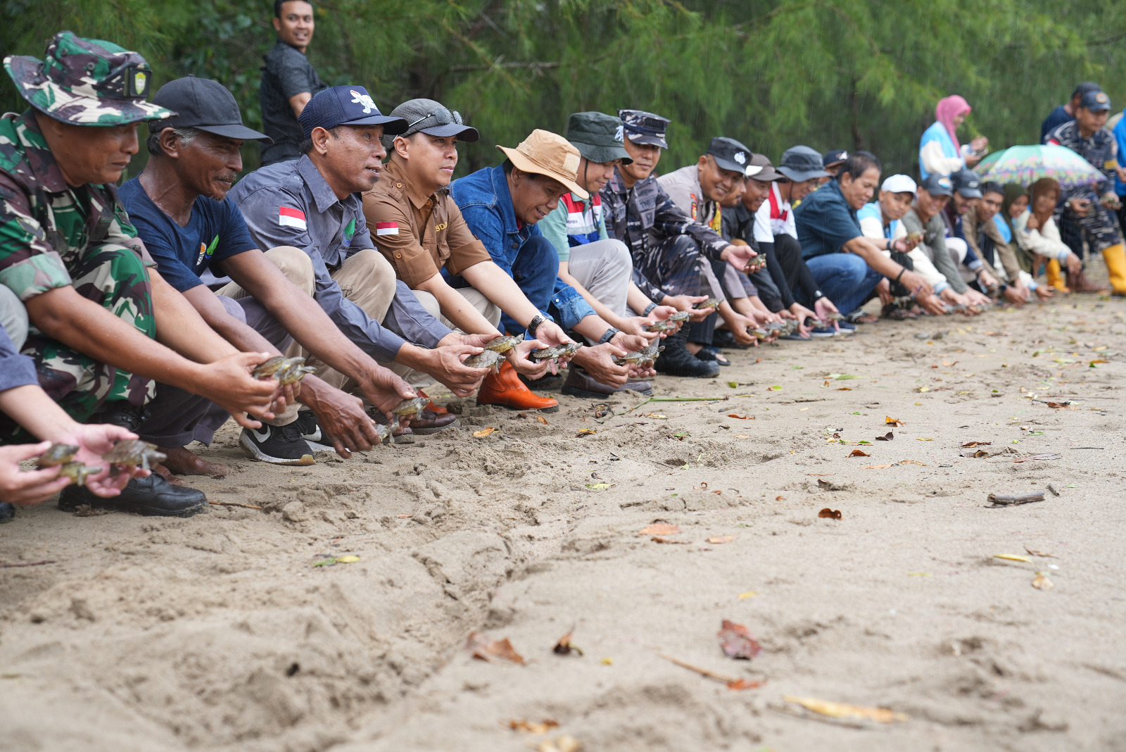 Road To HKAN: BKSDA Aceh Lepasliarkan 1.107 Ekor Tukik Tuntong Laut